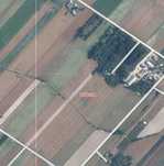 Sprzedam Gospodarstwo Rolne Dubica Górna Wisznice ,Lubelskie 11,25 ha