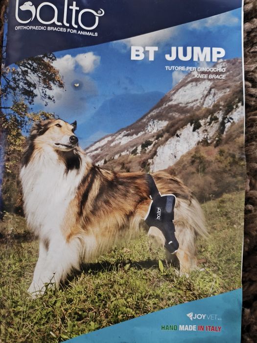 Lewa wzmocniona orteza stawu kolanowego psa Balto rozm xl