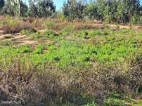 Terreno  para venda