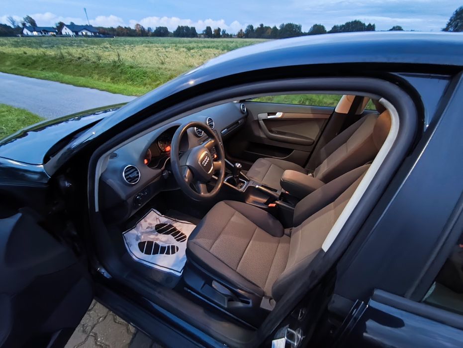 Audi A3 8P 1.6 mpi benzyna