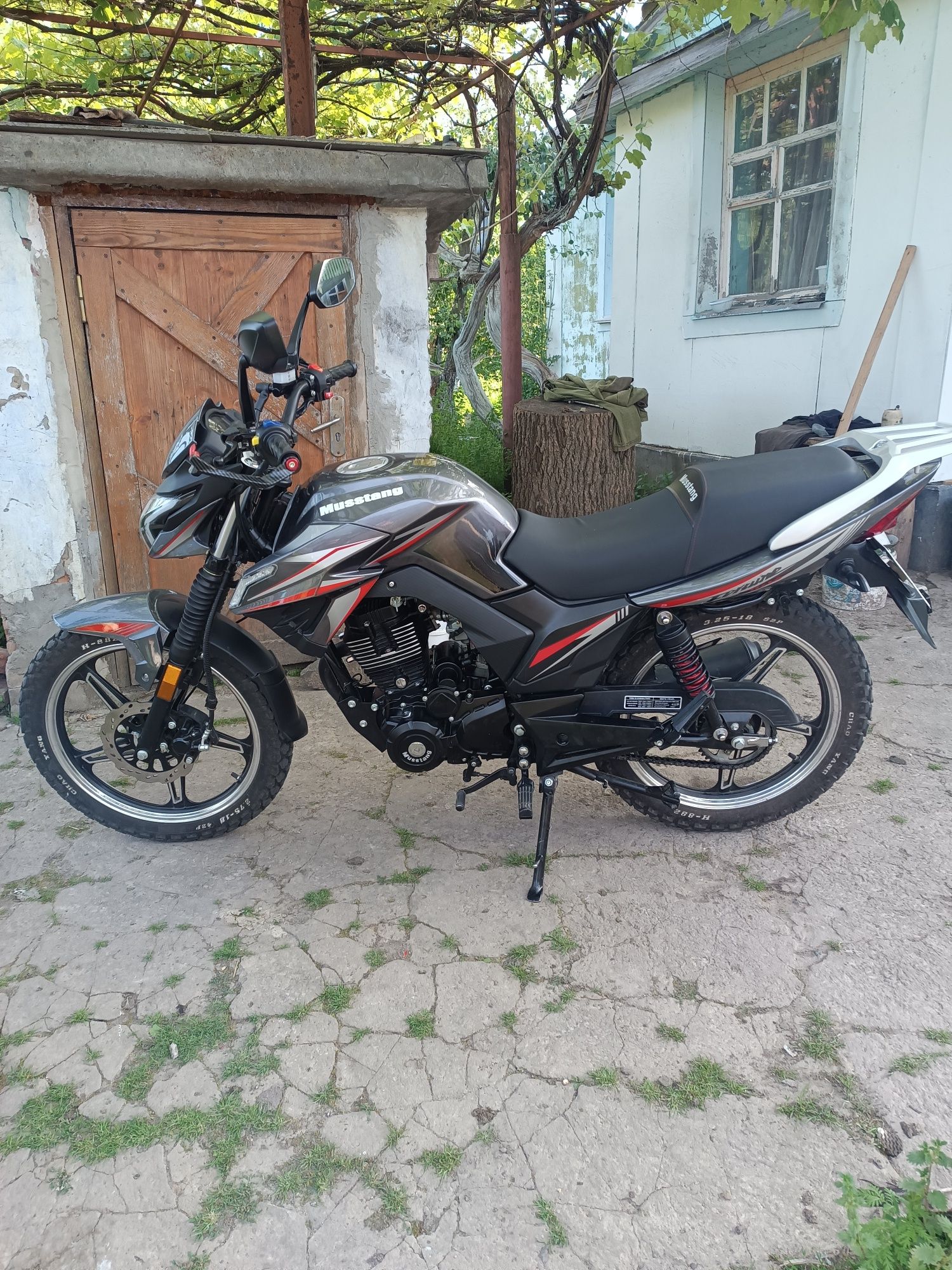 Продам мустанг регіон 200