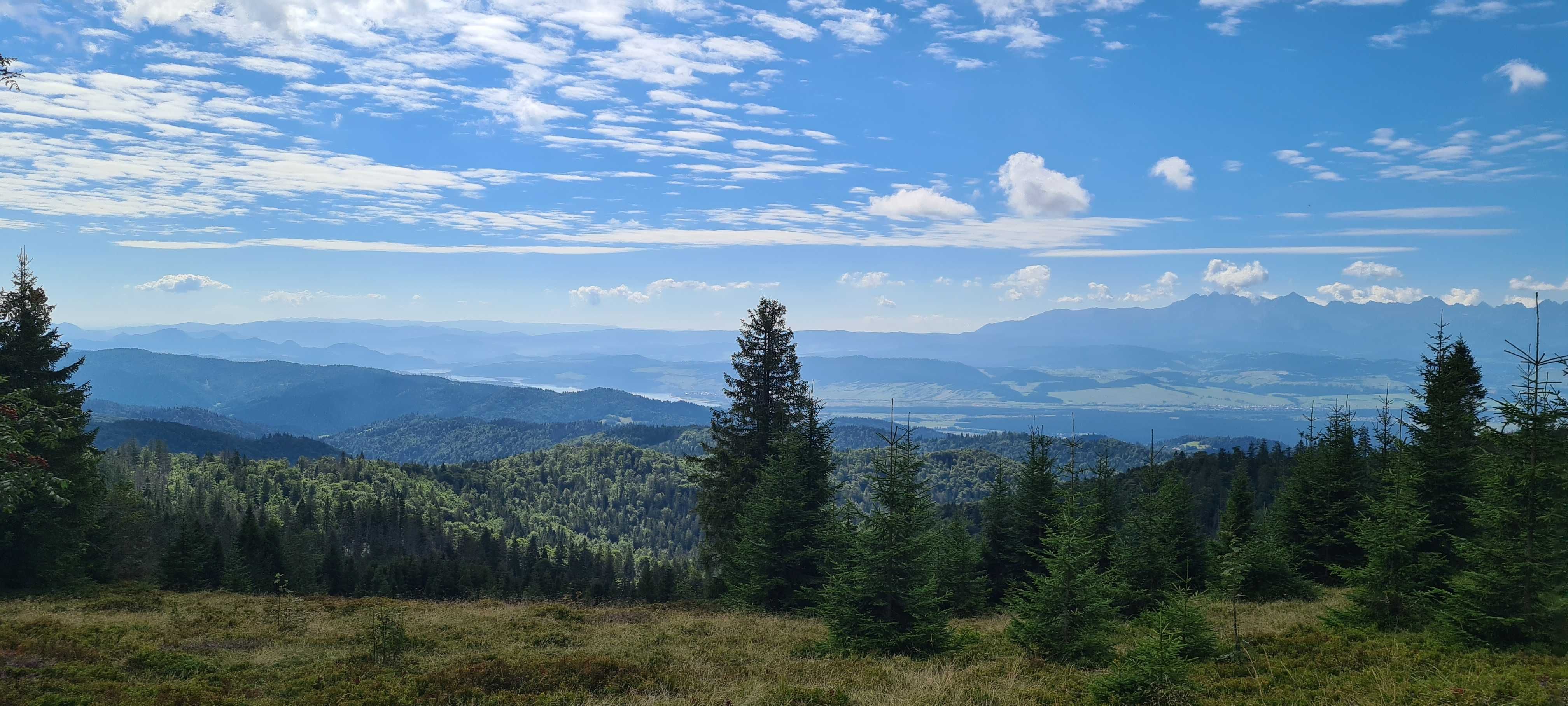 Domek do wynajęcia, bacówka w Gorcach pod Turbaczem.