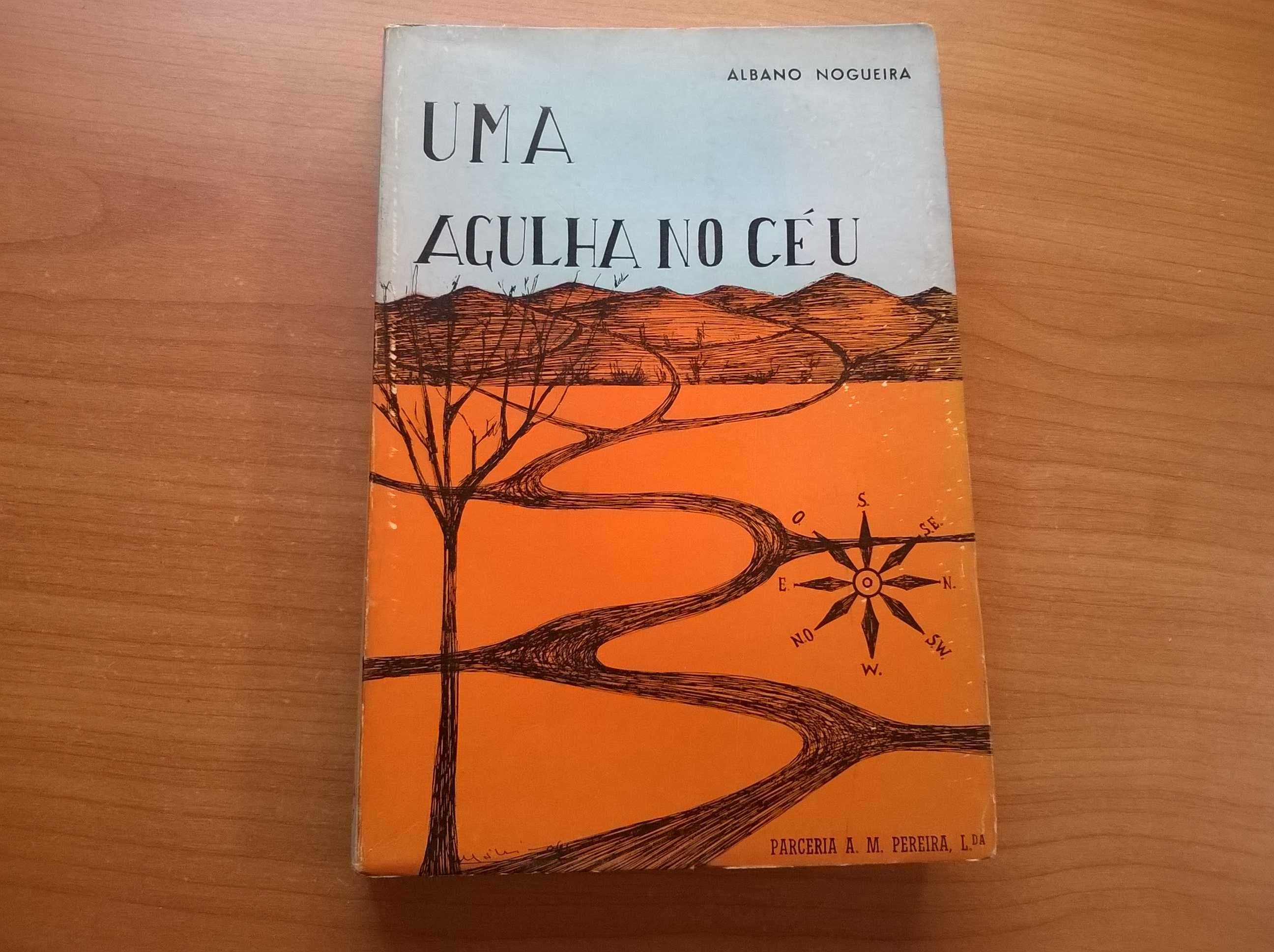 Uma Agulha no Céu - Albano Nogueira