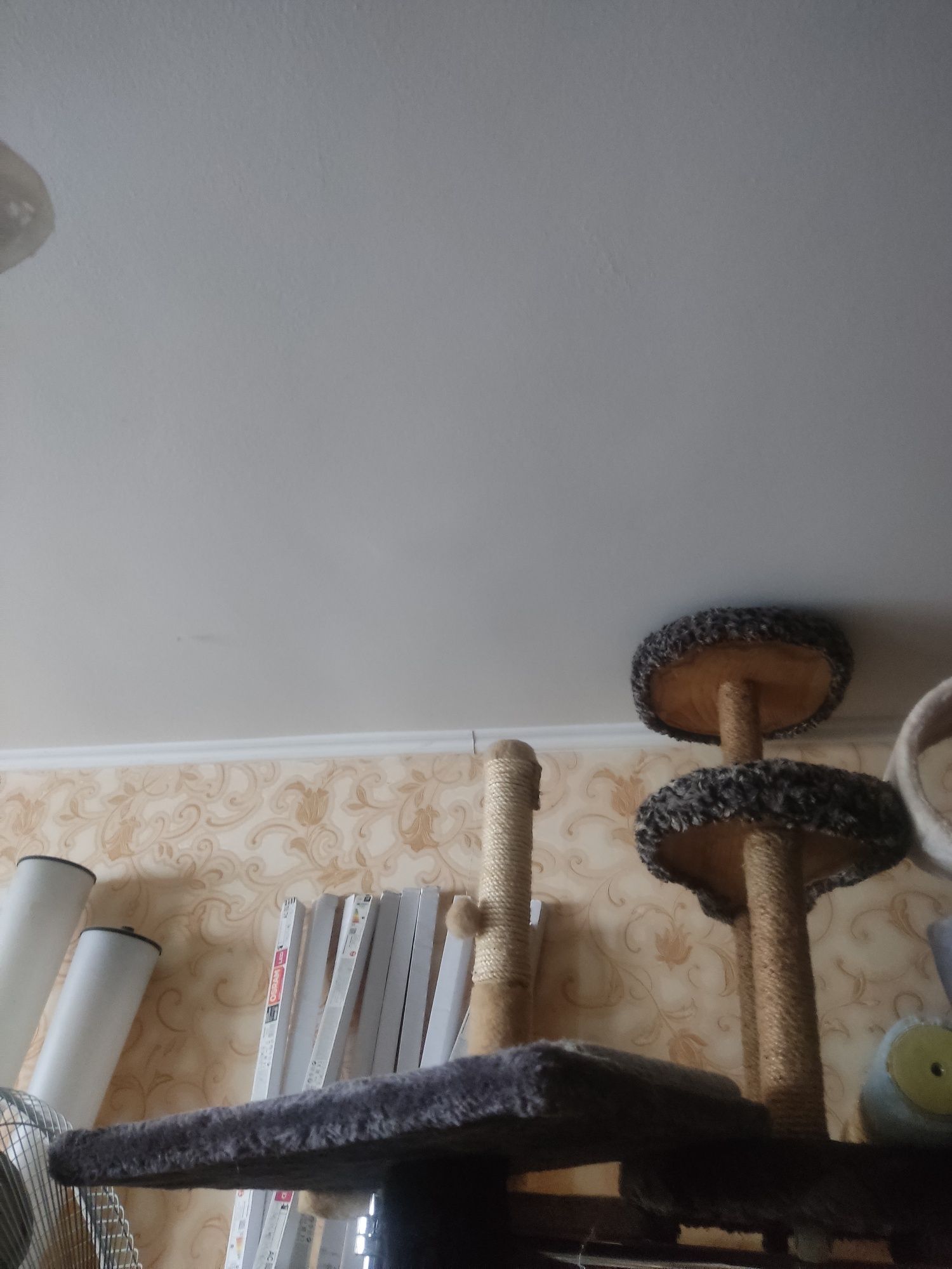 Царапалка когтеточка дряпка кігтеточка

Для кота, кішки.
Забирати р-н