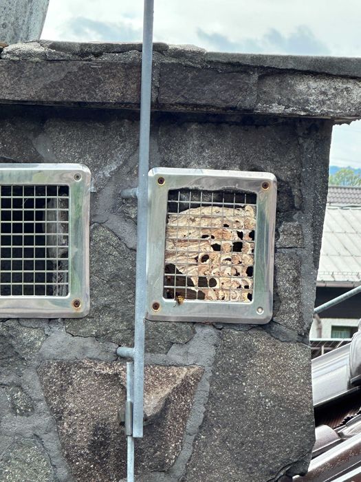 Opryski na KOMARY i KLESZCZE Likwidacja gniazd OS i SZERSZENI OZON