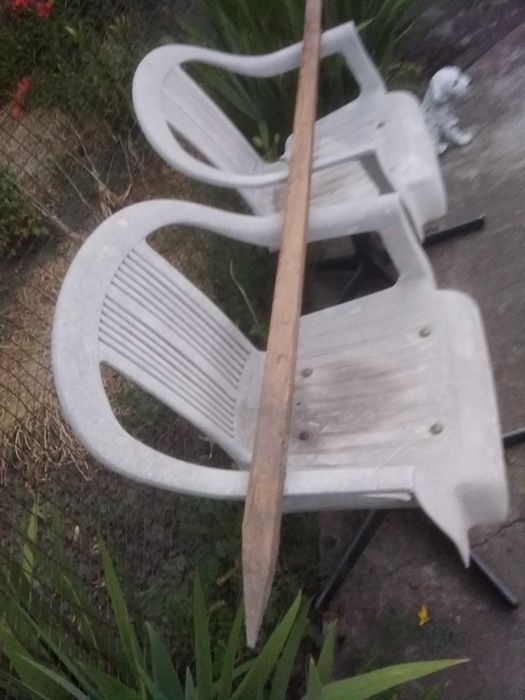 Палки для підв'язки помідор чи квасолі