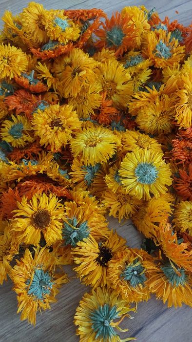 Нагідки  великі, цвіт висушений 2025