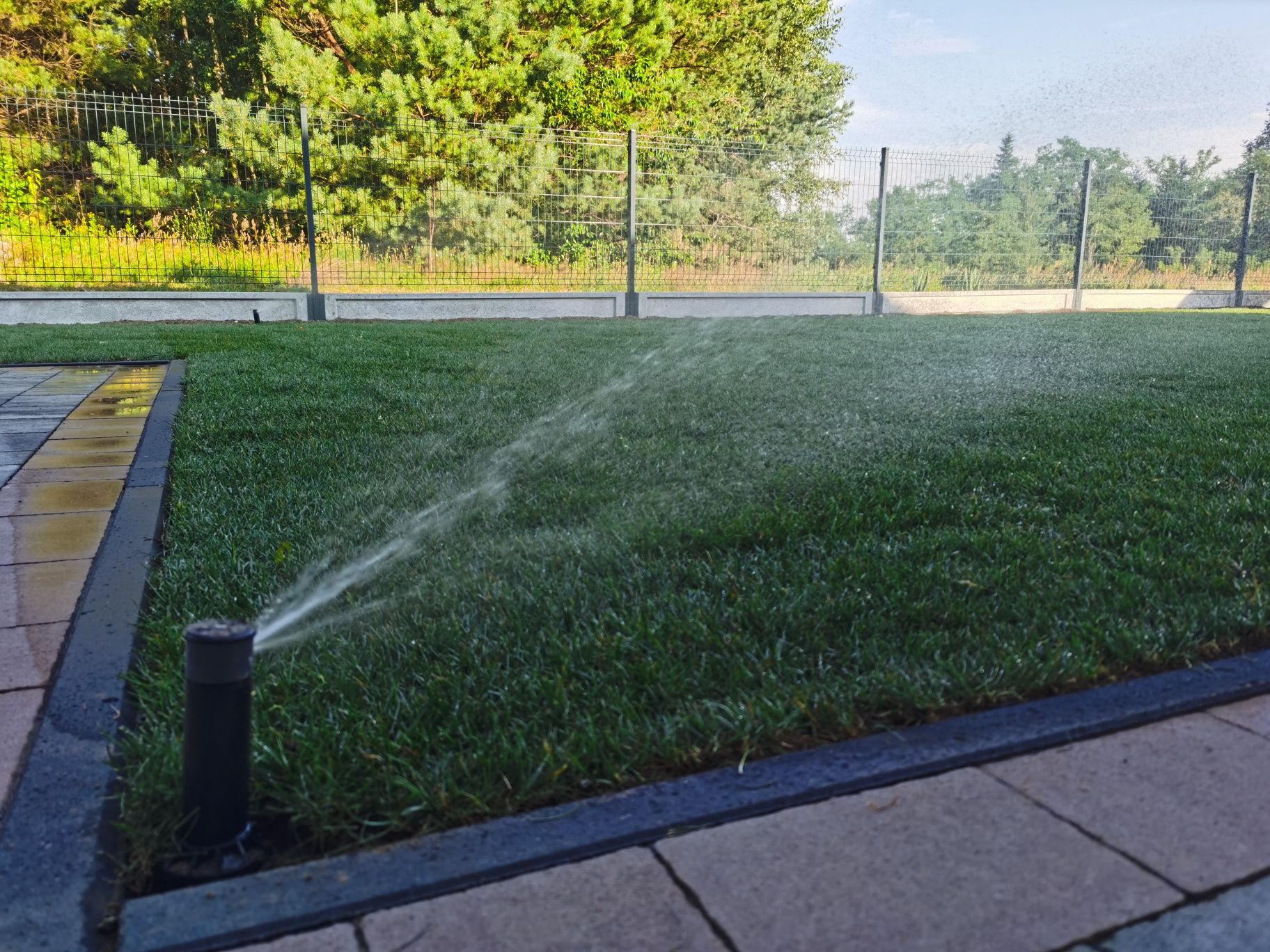 Budowa ogrodów, automatyczne nawadnianie, oswietlenie, projekty