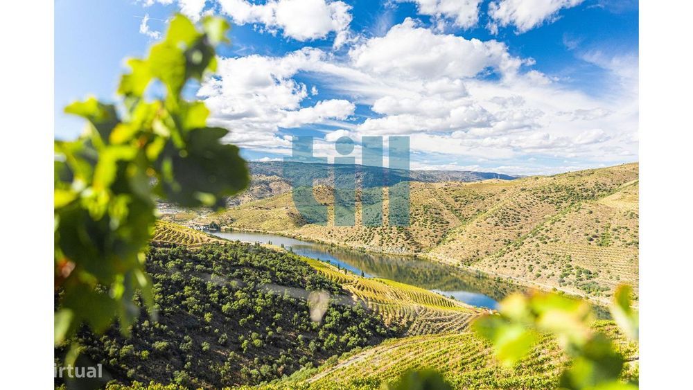 Quinta no Douro