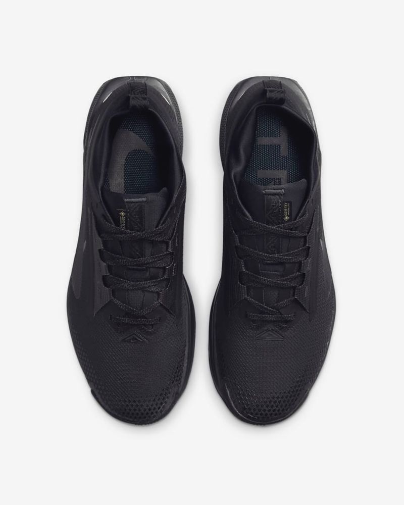 Nike Pegasus Trail 5 Gore-Tex ( FQ0908-002)