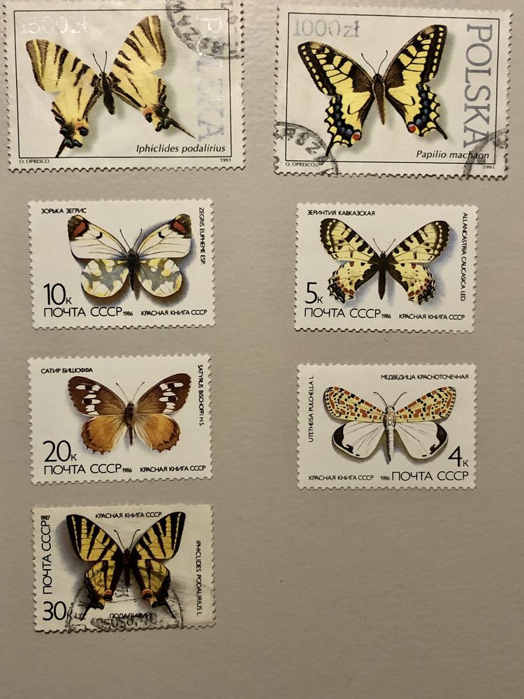 Znaczki pocztowe - motyle