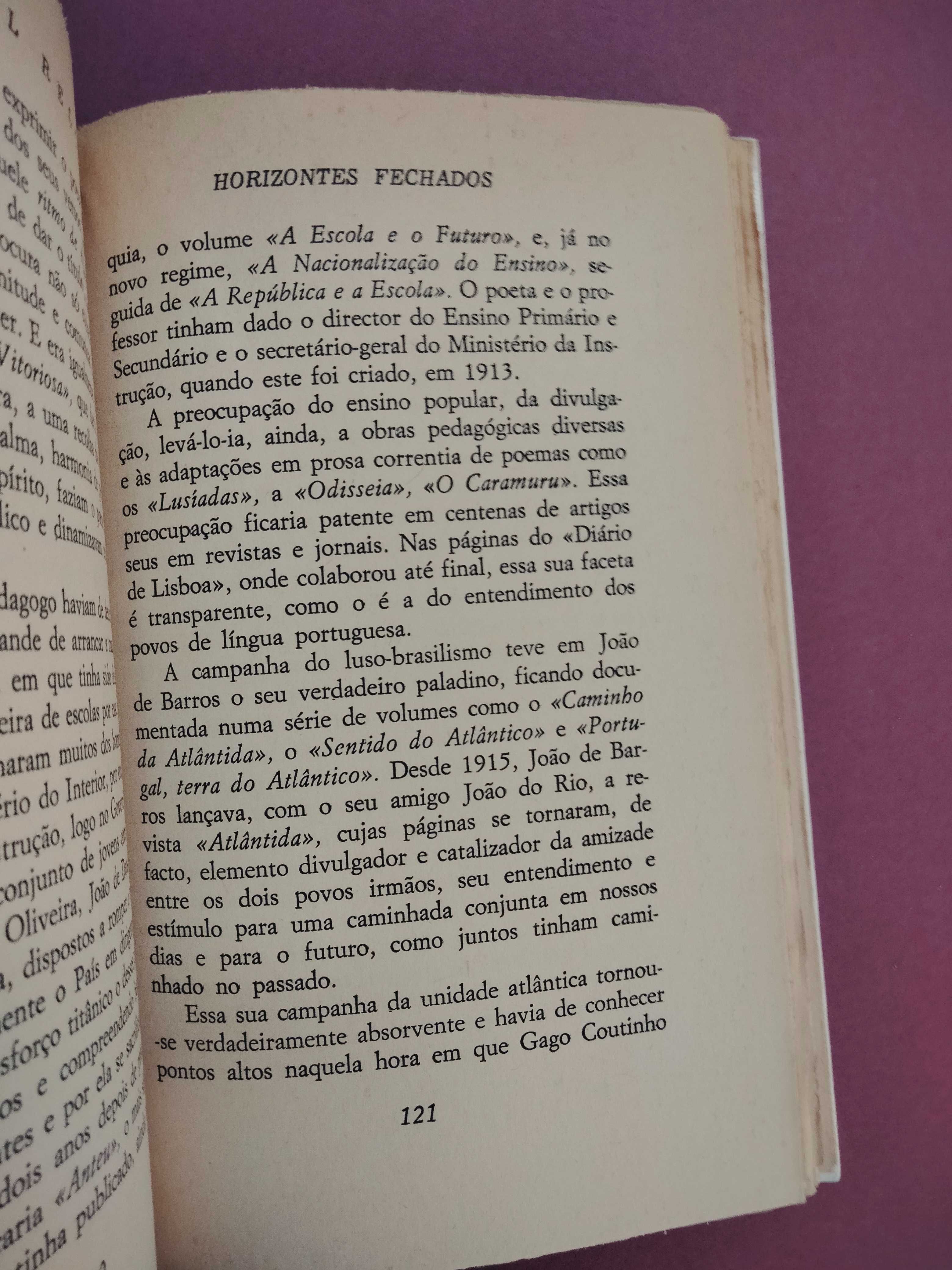 Horizontes Fechados - Páginas de Política -  Raul Rego