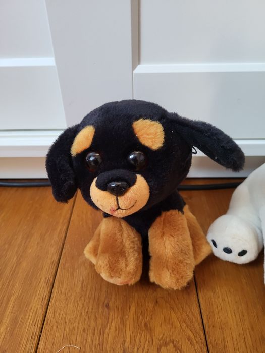 zestaw 3 pluszowych piesków, pieski pluszaki Ty, Pepco