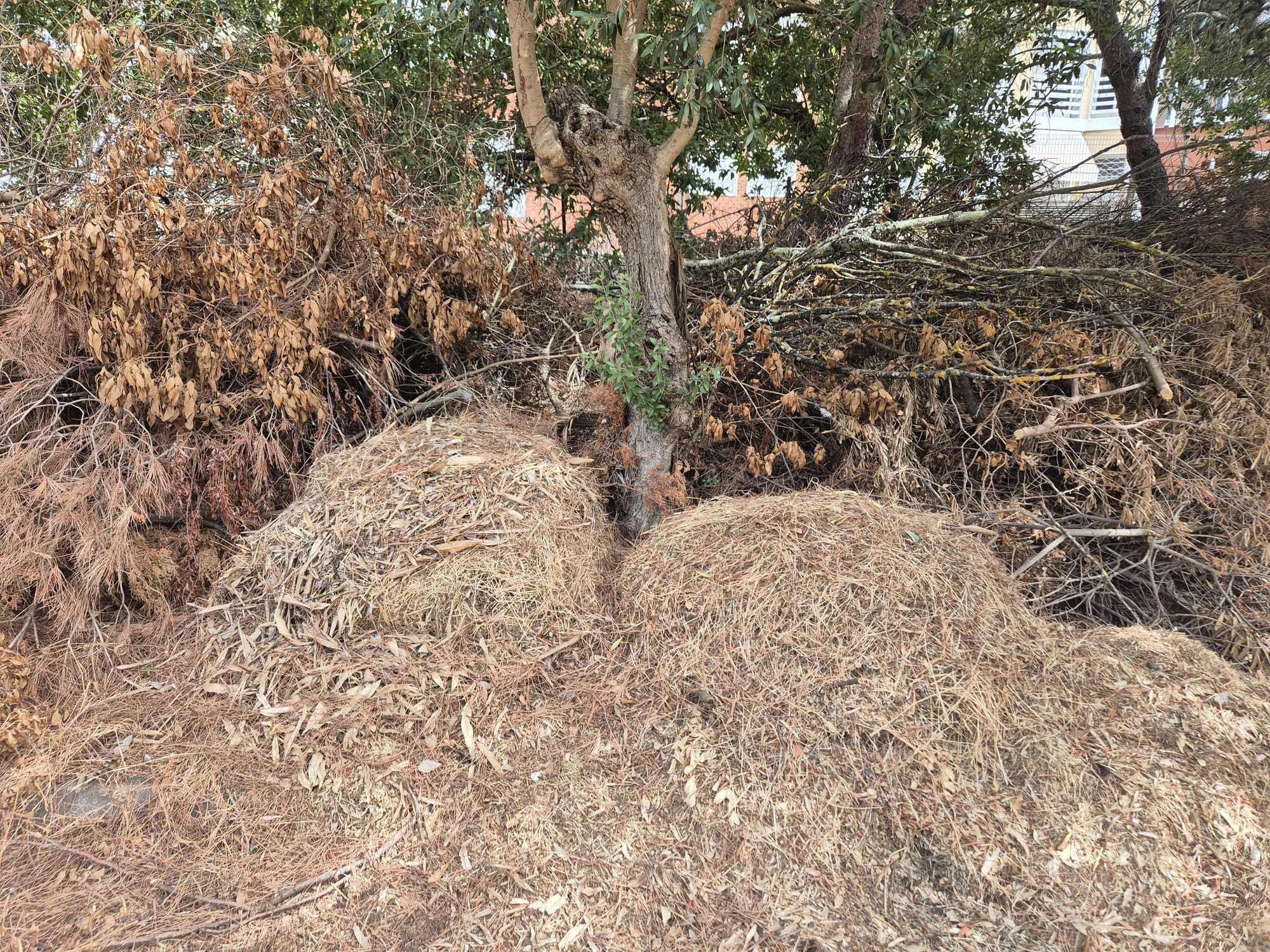 Oferta – Resíduos de Jardim Grátis