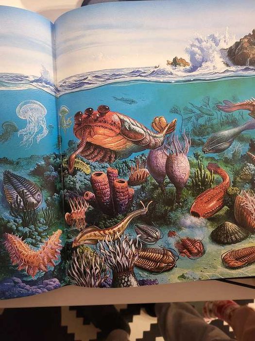 Fascynujące dzieje planety Ziemi