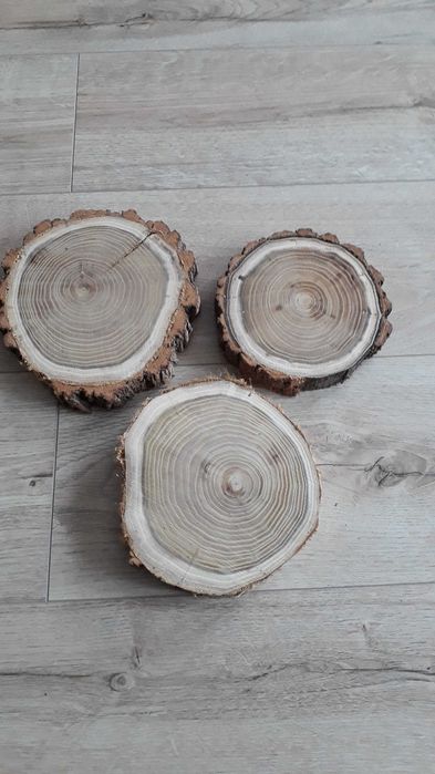 Suche plastry drewna akacji 15-18 cm plaster drzewa