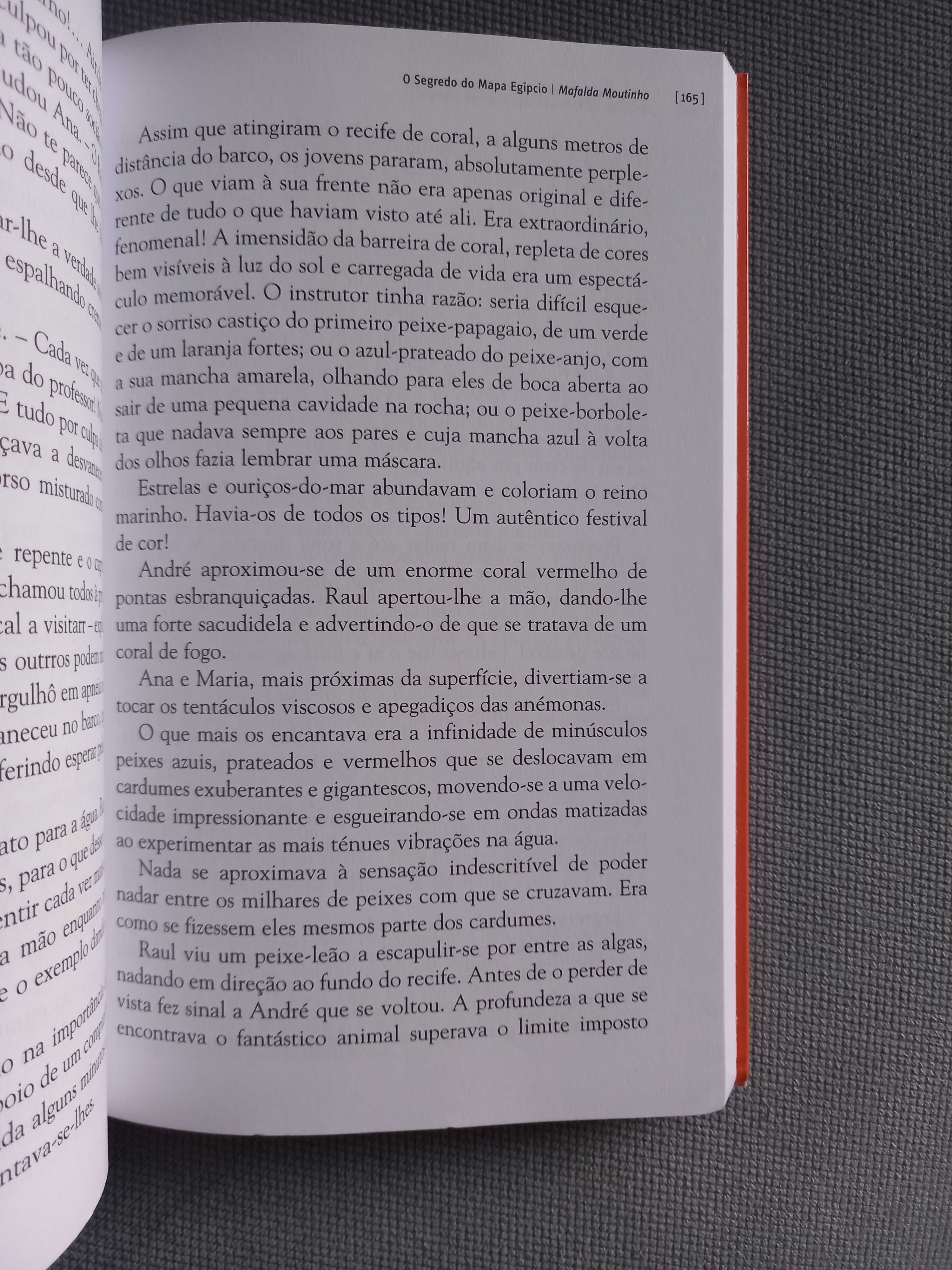 Livro O segredo do Mapa Egípcio