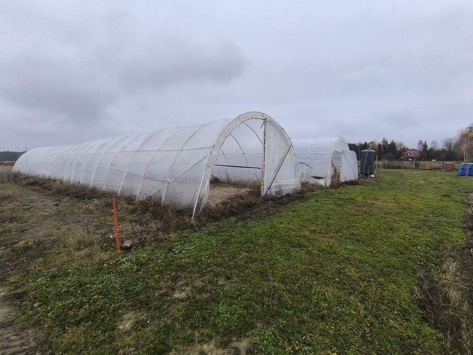 Tunel foliowy, foliak. Szklarnia. Namiot