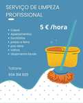 Limpeza profissional