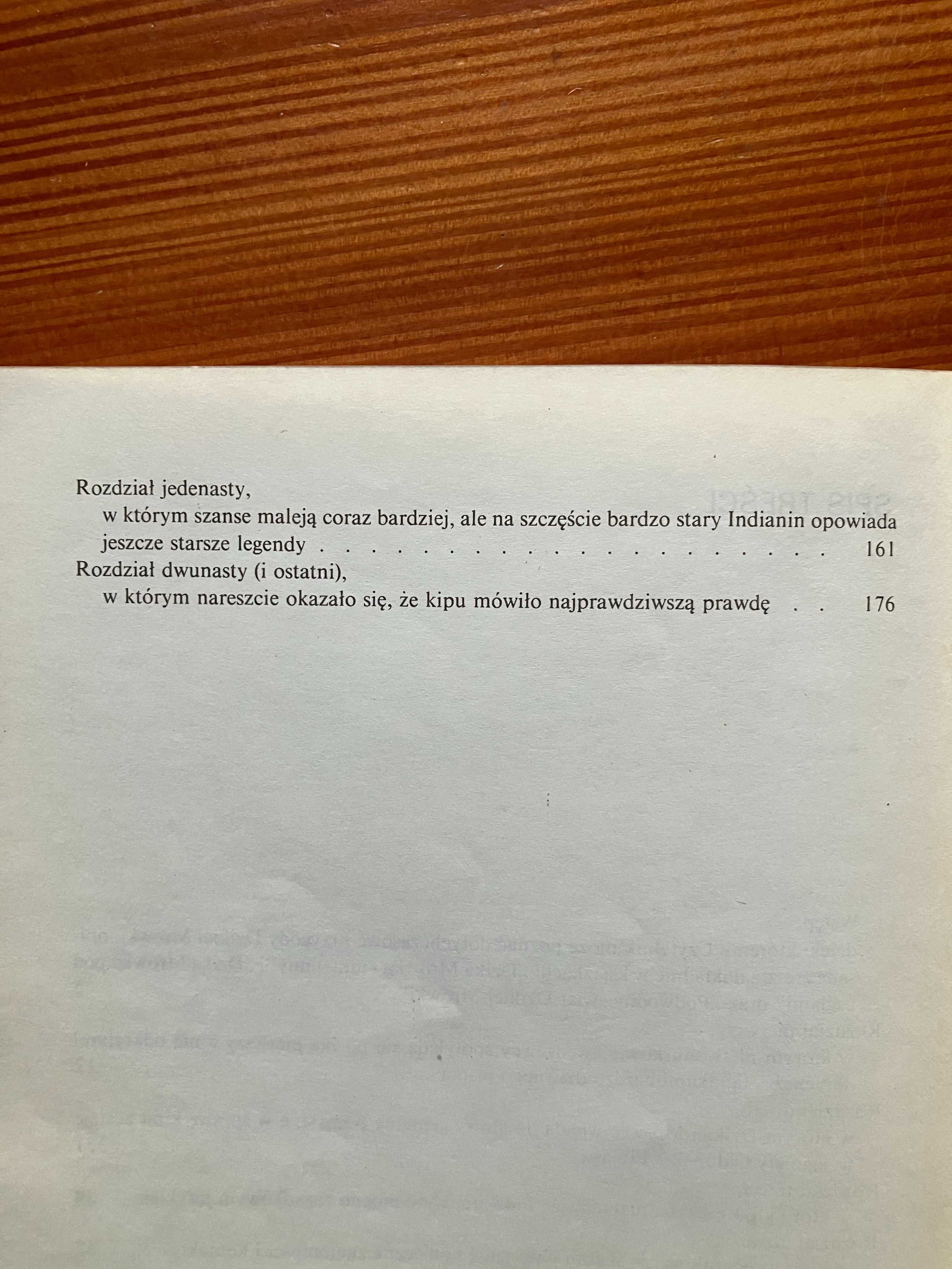 Dzika Mrówka i Jezioro Złotego Lodu Andrzej Perepeczko