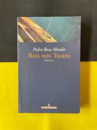 Pedro Rosa Mendes - Baía dos Tigres