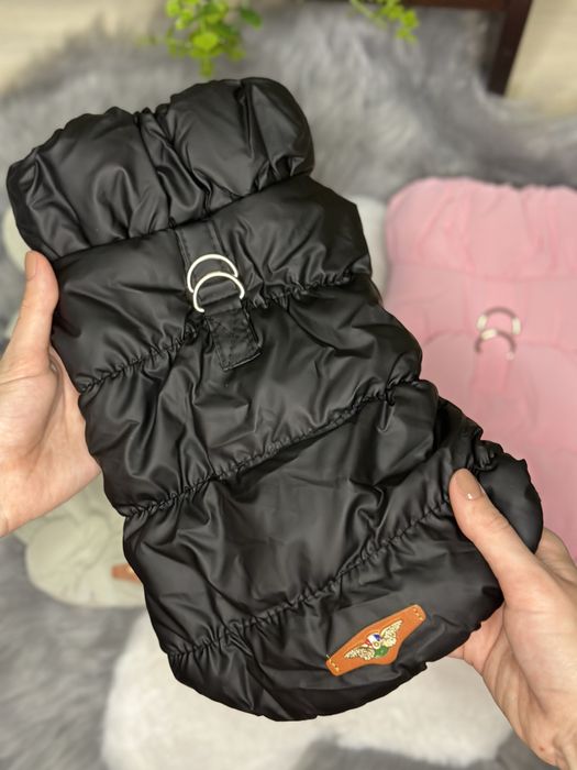 Одяг для собак