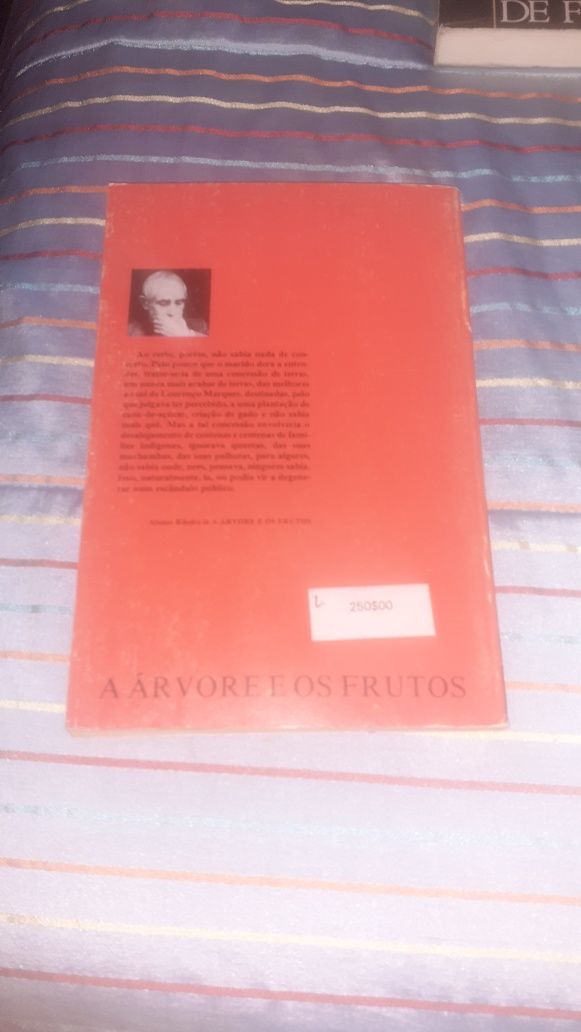 Afonso Ribeiro a arvore e os frutos 1986