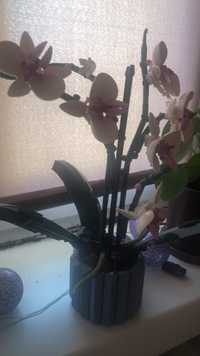 Oryginalna Orchidea lego