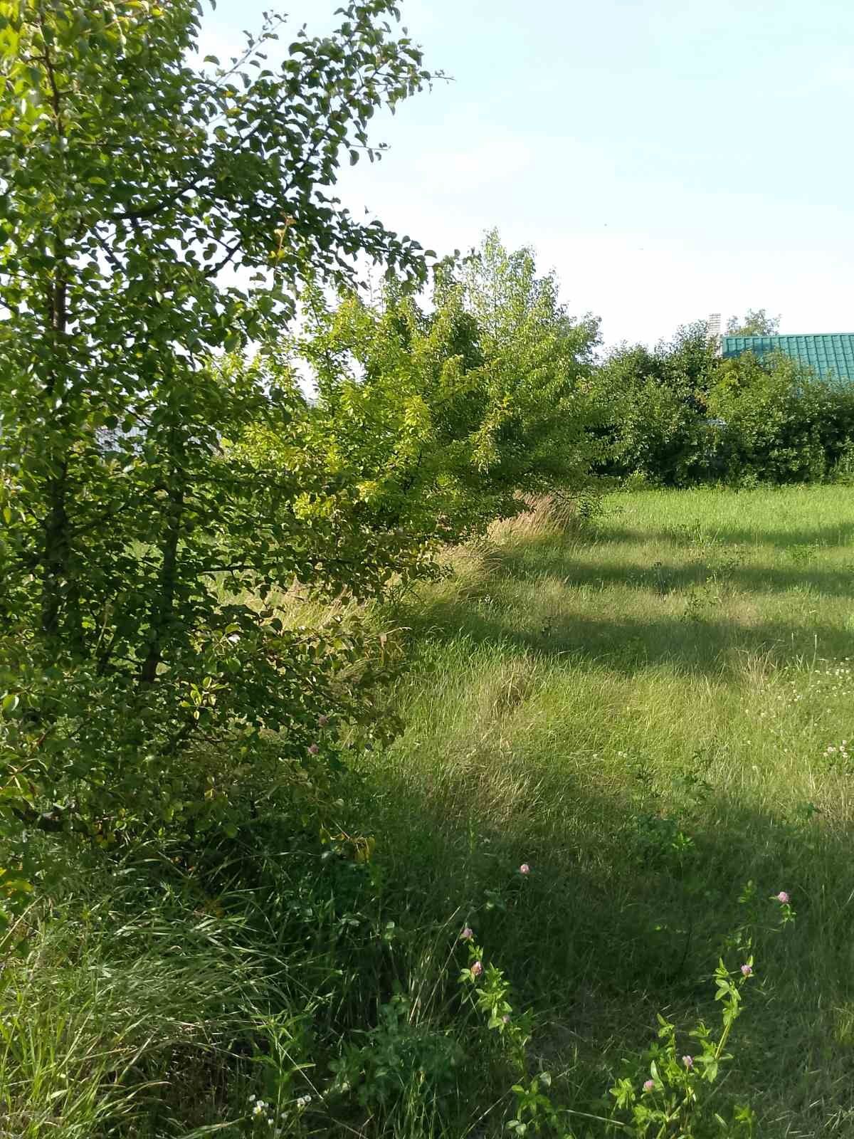 Продам участок с. Рогозів 34 сотки..
