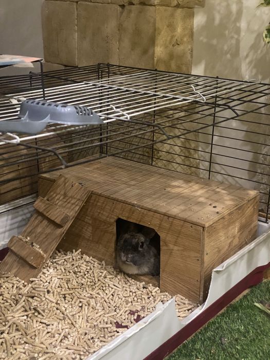 Будинок для кролика, хомʼячка, морських свинок