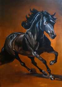 Mustang obraz konia, koń