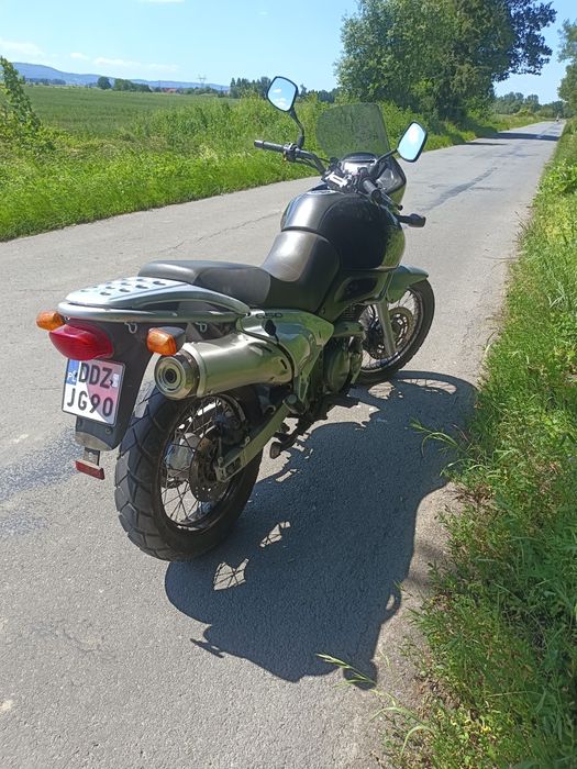 suzuki 650 xf freewind