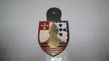 Crachá do Grupo de Artilharia de Campanha da Brigada Mecanizada