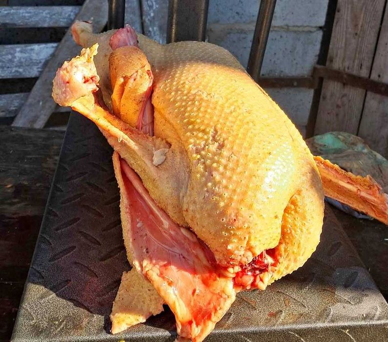 Gęś-owsiana-swojska,żywa lub zubojowana.
