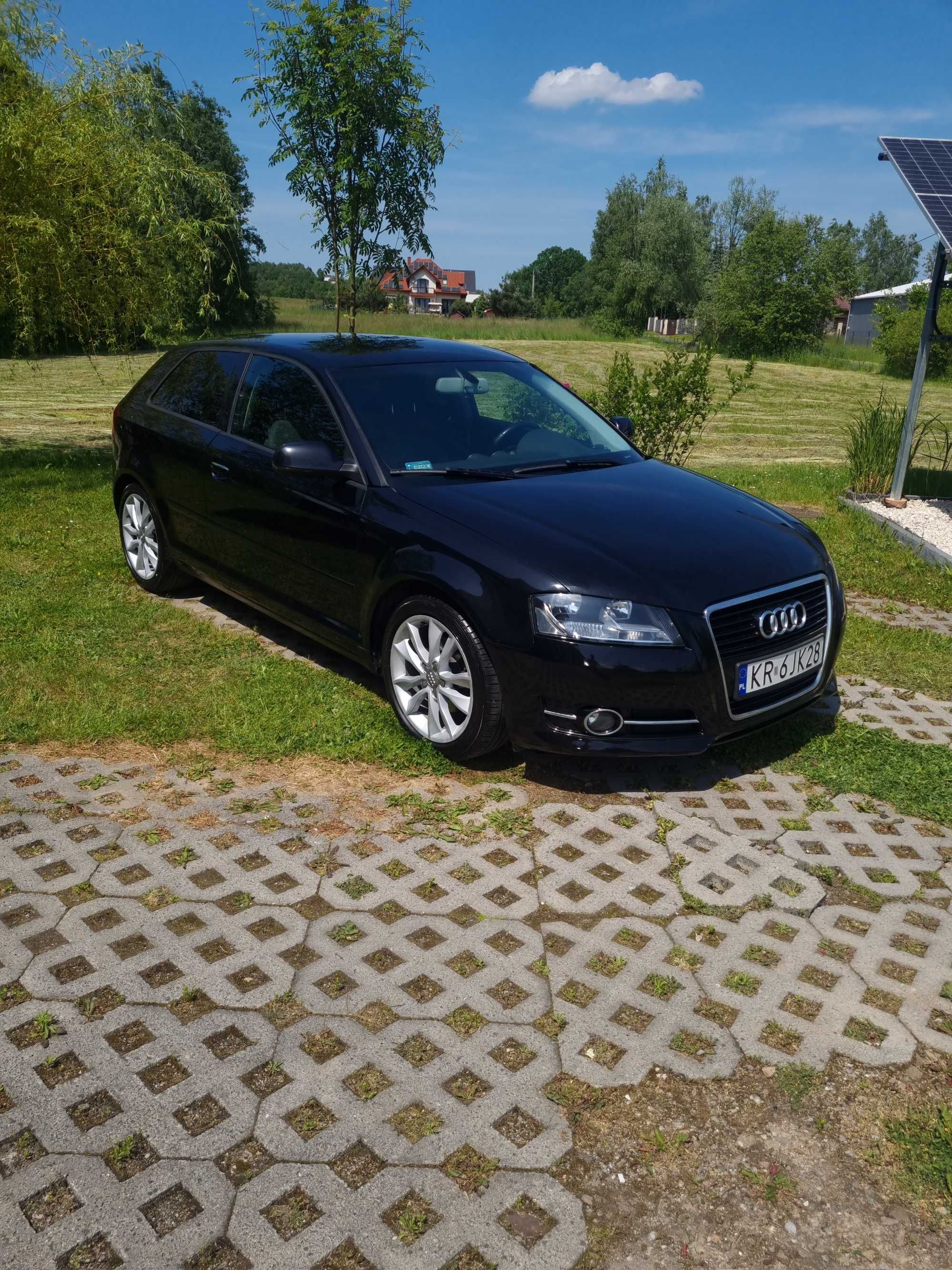 Audi a3 8p 2011 rok 1.6 tdi (Faktury,Nowy Dwumas,hamulce itp)