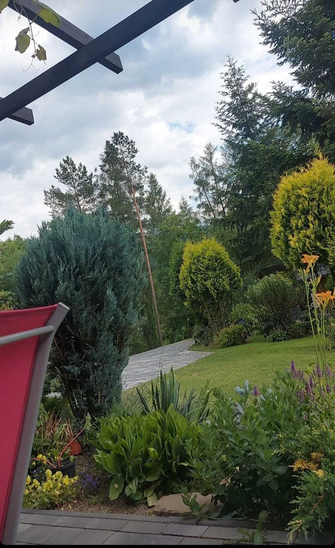 Pokoje z widokami na góry 
Szczawnica Ul.Główna 206
