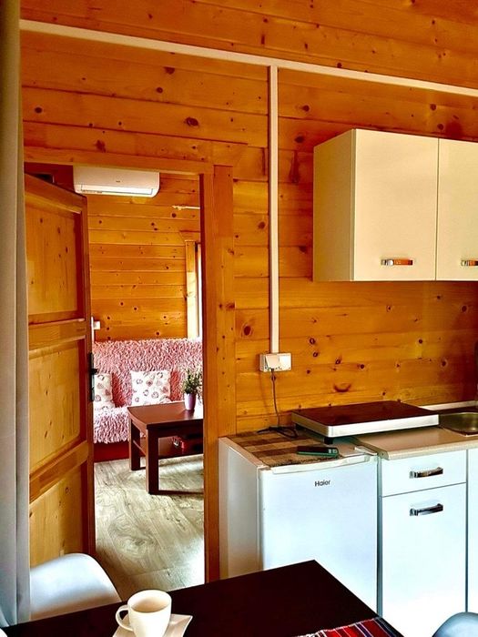 Wynajmę domek w otulinie lasu (klimatyzowany)