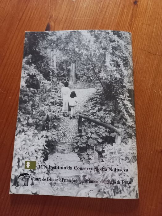 Livro cerca do convento mata dos 7 montes