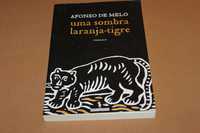 Uma Sombra Laranja-Tigre de Afonso de Melo