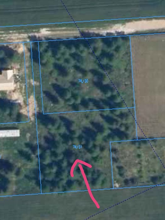 Modzele Bartłomieje 1561 m2 - warunki zabudowy, drzewa, blisko zalewu