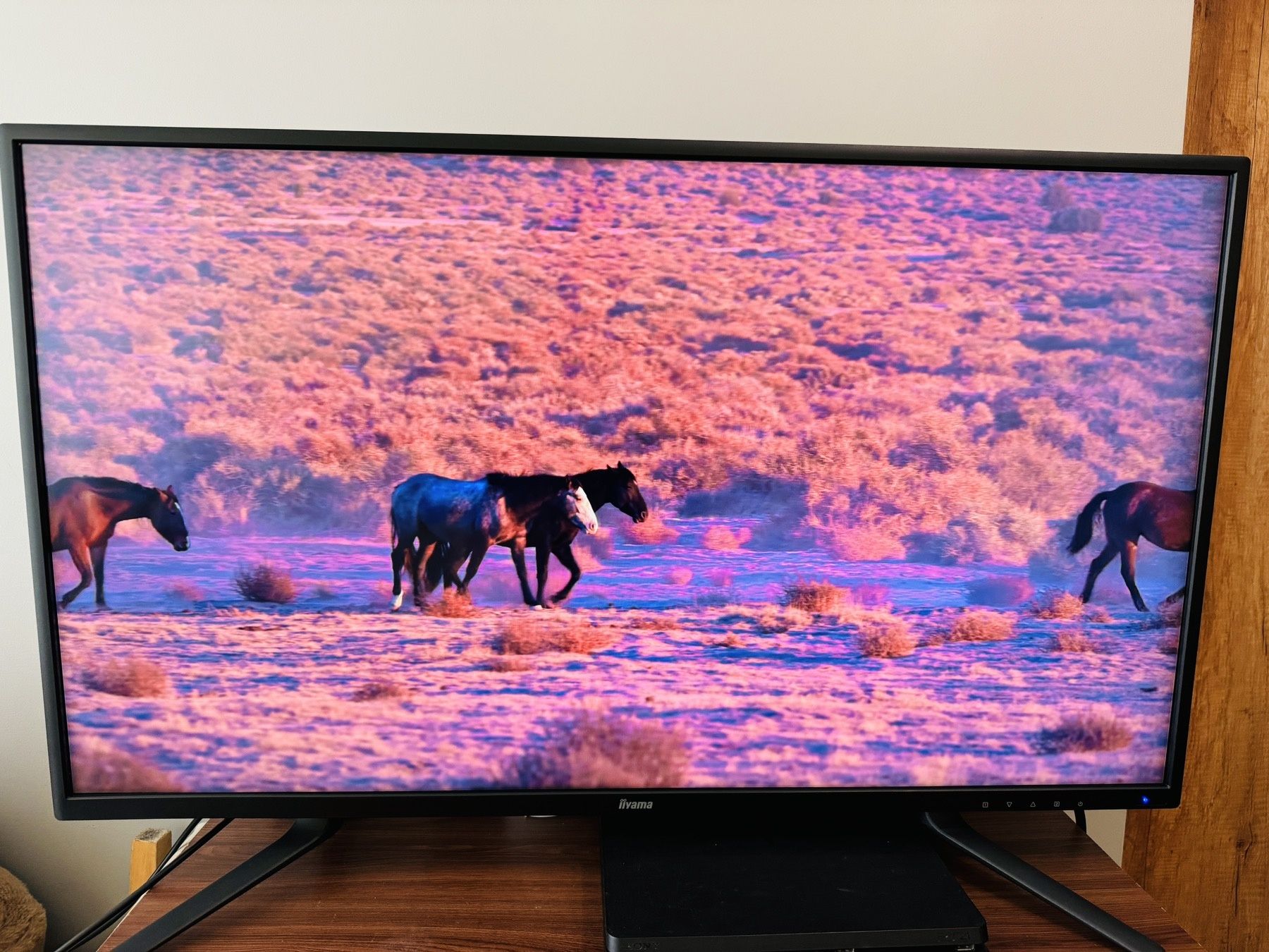 Jak NOWY 4k, 40", monitor IIYAMA