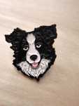 Pin przypinka border collie