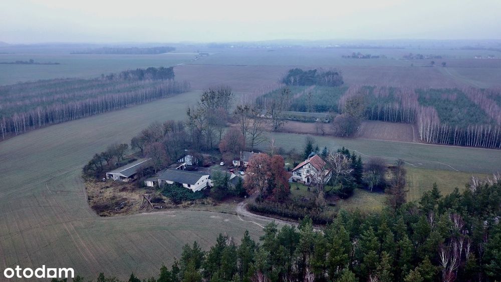 Wyjątkowe gospodarstwo  wśród własnych lasów z dala od sąsiadów
