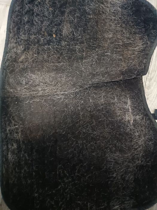 Czaprak full wszechstronny