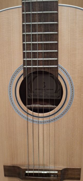 Viola de Fado APC