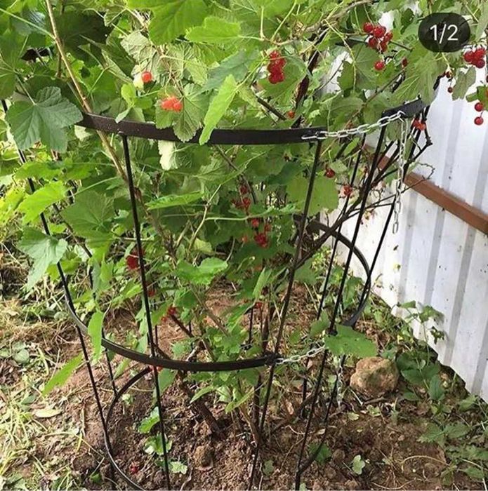 Кустодержатель стальной окрашенный