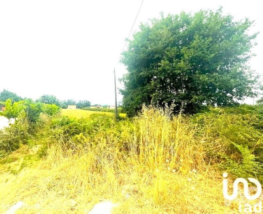 Loja / Estabelecimento Comercial em Geraz Do Lima (Santa Maria, Santa