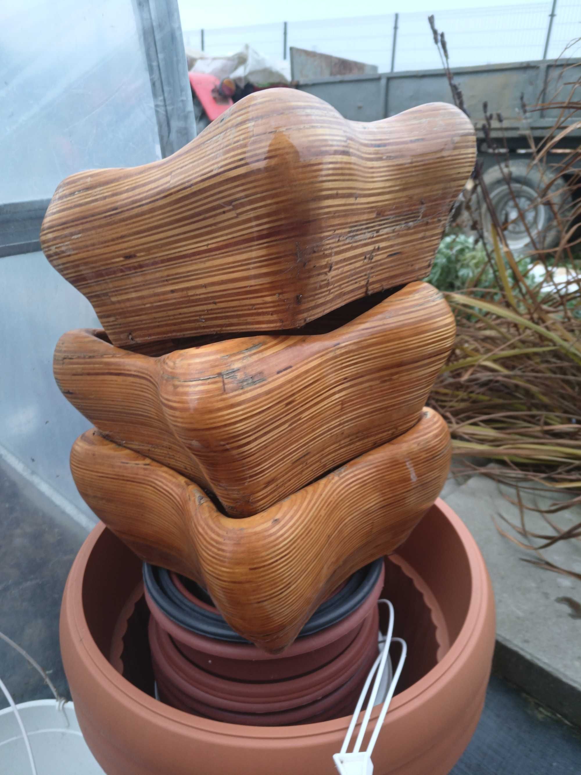 Donice bonsai bougenwilla
