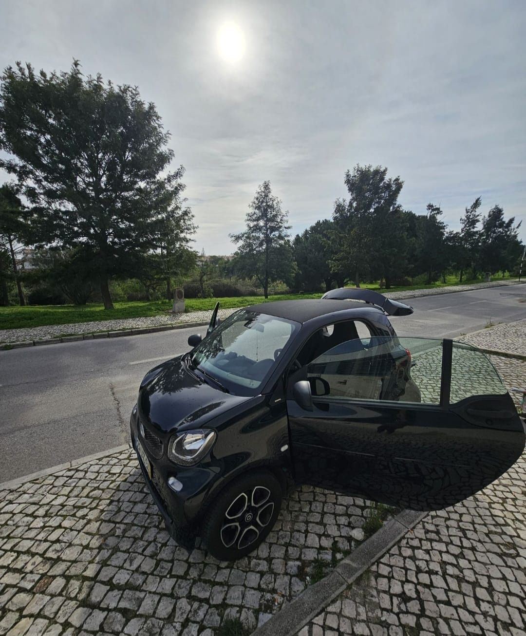 Smart fortwo passion