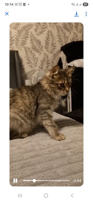 Дівчинка підліток в хороші руки